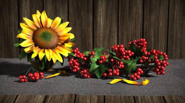 Ayçiçeği ve kırmızı böğürtlen bileşimi. 3d illüstrasyon