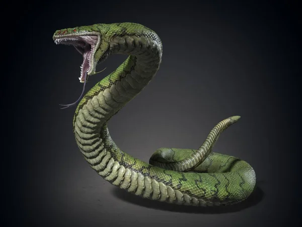 Monstre Serpent Illustration — Photo