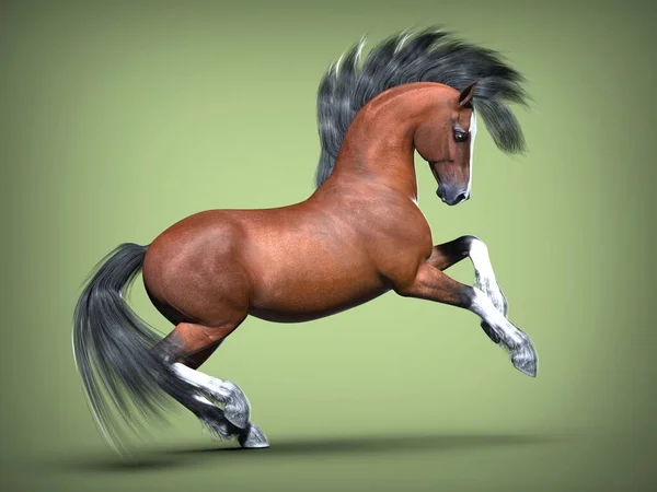 Galloping Horse Illustration — Stockfoto