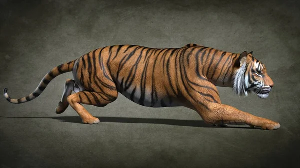 Erwachsene Tiger Aus Nächster Nähe Illustration — Stockfoto