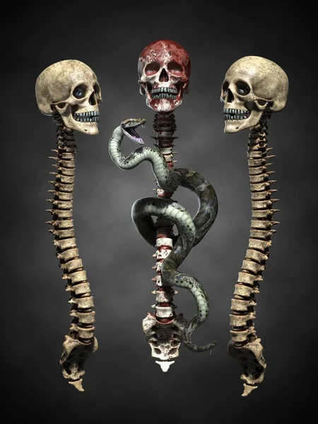 Composición Del Cráneo Los Huesos Ilustración Imagen de stock