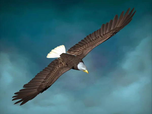 鳥のワシのクローズアップ 3Dイラスト — ストック写真