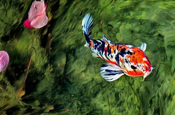 Magnifique Carpe Poisson Japonaise Kui — Photo