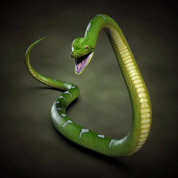 Zbliżenie Pythona Ilustracja — Zdjęcie stockowe