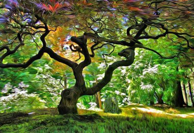 Eski bir ağacı olan güzel bir orman manzarası.