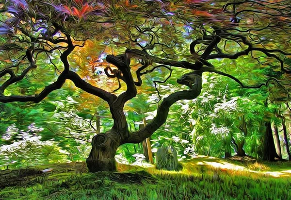 Indah Pemandangan Hutan Dengan Pohon Tua Stok Lukisan  