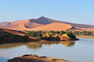 namib Çölü'nde sular altında sossusvlei