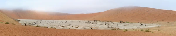 Deadvlei 全景 — 图库照片