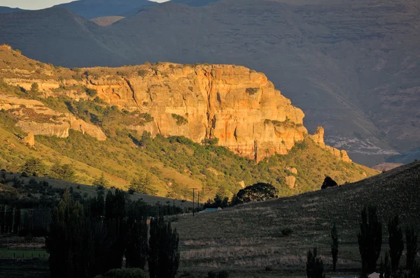 Golden sandstone cliffs — Stock Photo, Image