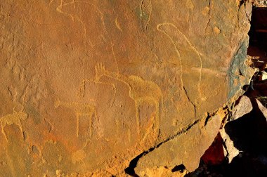 twyfelfontein, Namibya, kaya kabartmaları