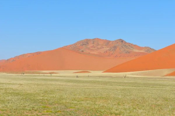 Paisagem de grama e dunas perto de Sossusvlei, Namíbia — Fotografia de Stock