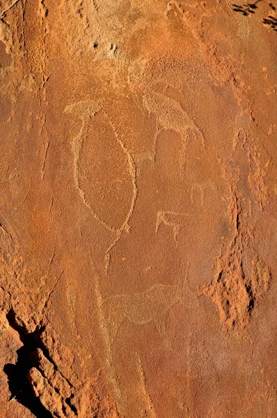 Rock engravings at Twyfelfontein, Namibia — Stock Photo, Image