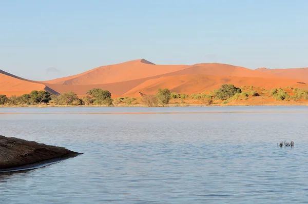 Un Sossusvlei inondé dans le désert namibien — Photo