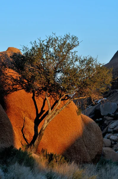 Formación de rocas en Spitzkoppe —  Fotos de Stock