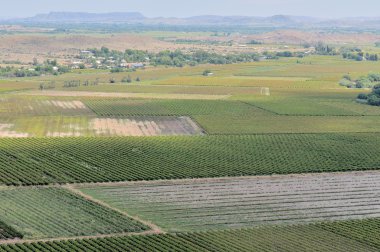 itibariyle keimoes Vineyards