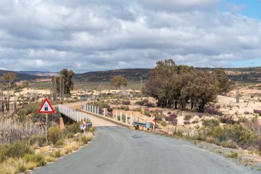 Batı Cape Cederberg 'deki Katbakkies Geçidi' nin aşağısındaki Riet Nehri üzerindeki köprü.