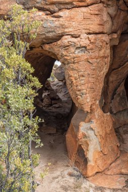 Batı Cederberg Burnu 'ndaki Stadsaal Mağaraları' ndan geçen bir yürüyüş yolu.