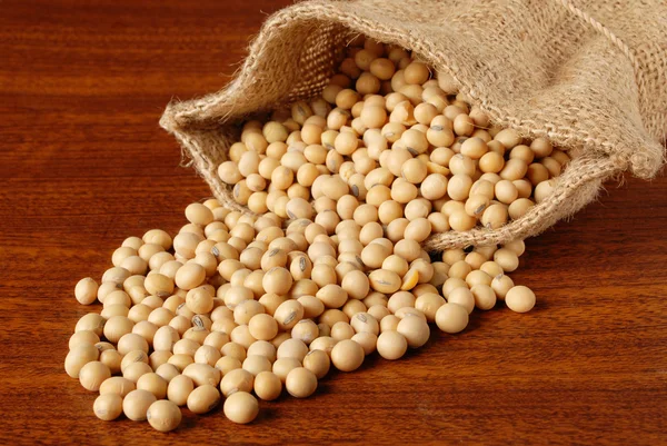 大豆の豆 — ストック写真