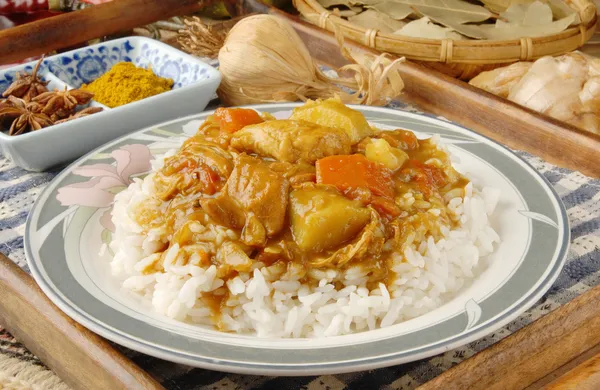 Pollo al curry e riso — Foto Stock