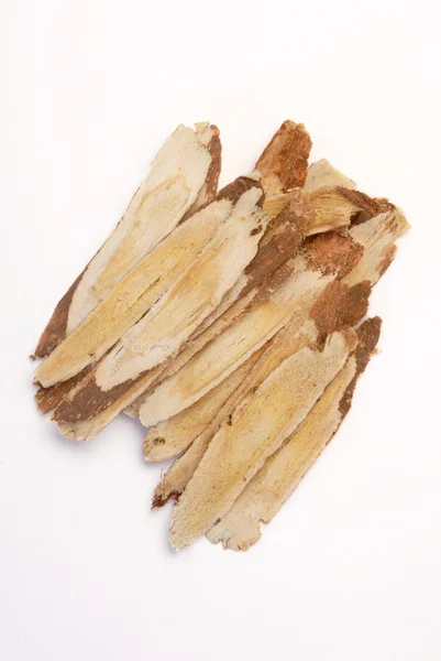 Astragalus rot — Stockfoto