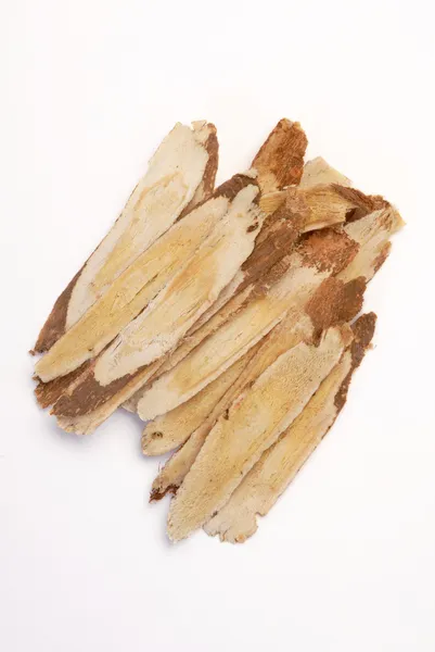 astragalus kök