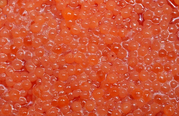 Caviar vermelho ovas de salmão — Fotografia de Stock