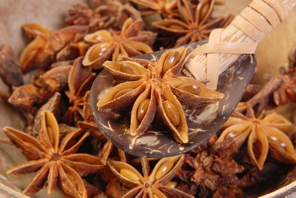 Star-anise — Stock Photo, Image