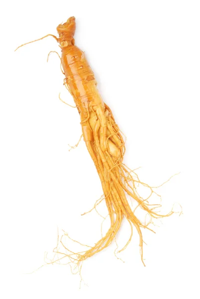 Ginseng — Stok Foto