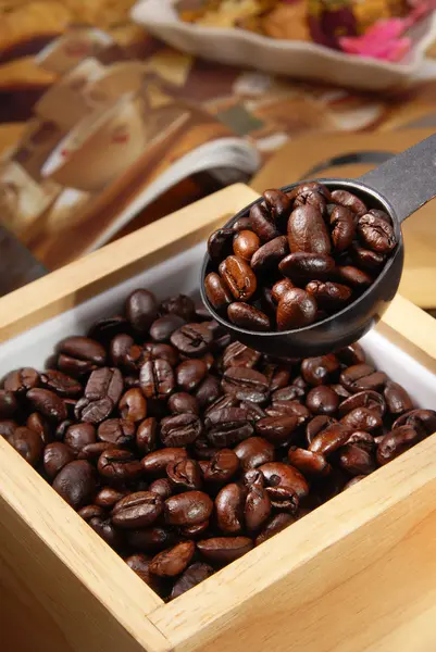 Coffee beans — Stock Photo, Image