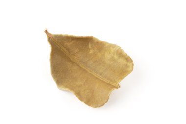 limon yaprakları kurutulur