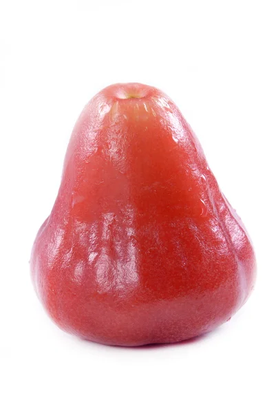 Red rose apple — Stock Fotó