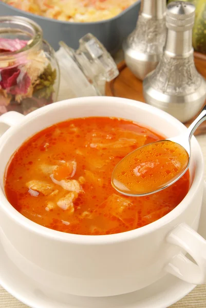 Borsch. — Foto de Stock