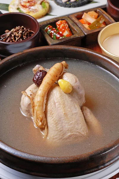 Ginseng sopa de pollo — Foto de Stock