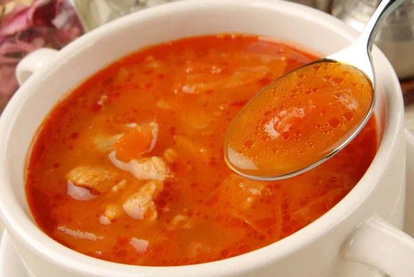 Borsch. — Foto de Stock