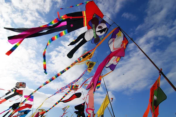 Kites — Stock Photo, Image