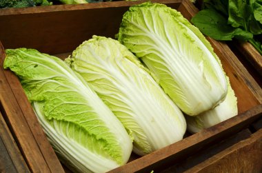 Çin lahanası