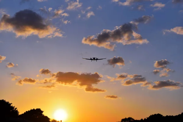 Avión Aterrizando Atardecer —  Fotos de Stock