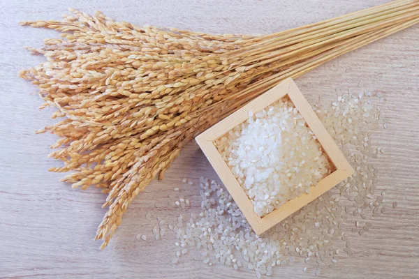 White Rice Wooden Cup Paddy Rice Ears Wooden Background — Photo