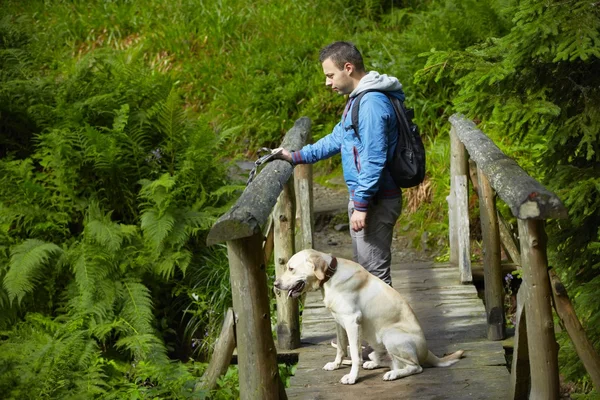 犬との旅行 — ストック写真