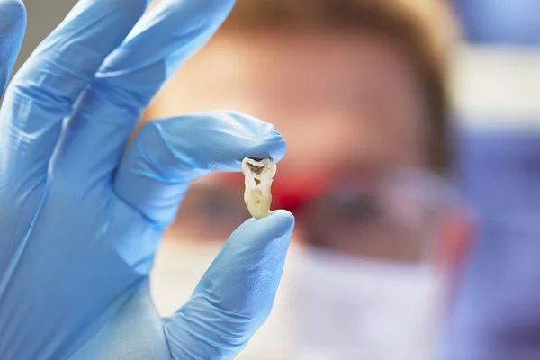 Dentist — Stock Photo, Image