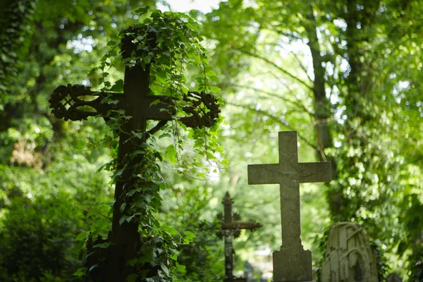 Friedhof — Stockfoto