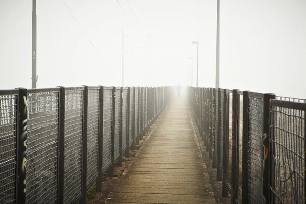 Niebla misteriosa —  Fotos de Stock