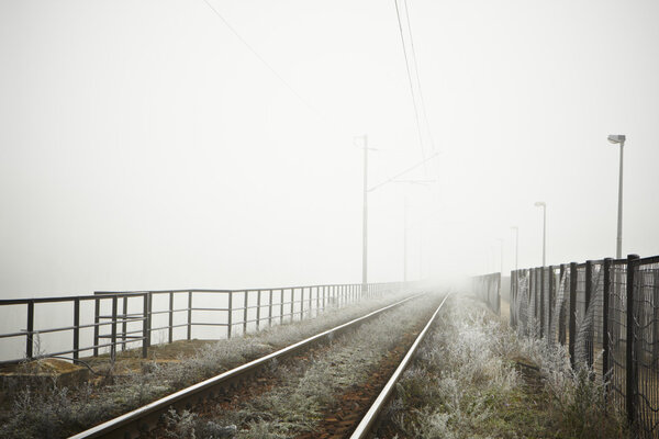 Таинственный туман
