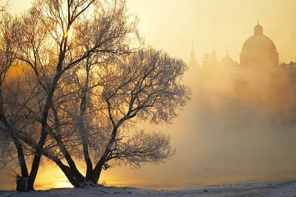 Frosty morning — Stock Photo, Image