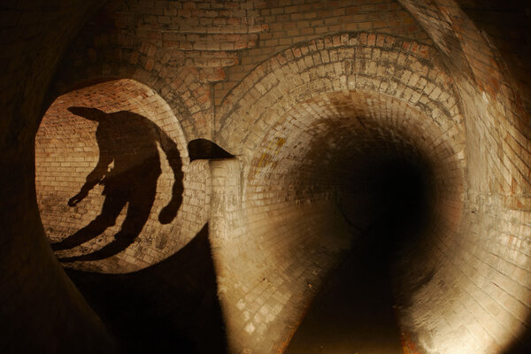 Загадка под землей
