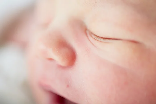 Newborn — Stock Photo, Image