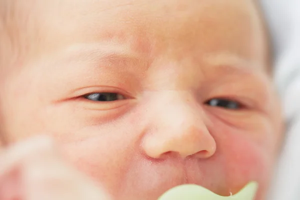 Newborn — Stock Photo, Image