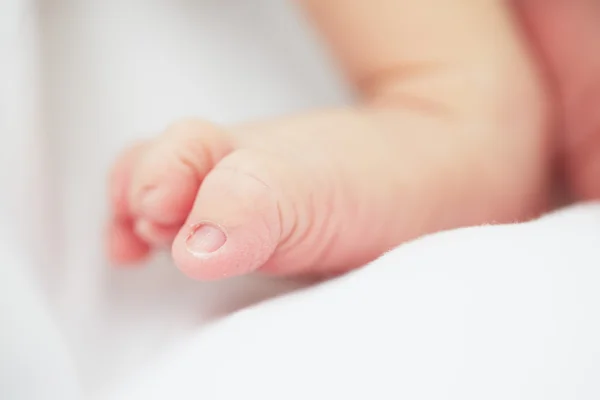 Newborn — Stock Photo, Image