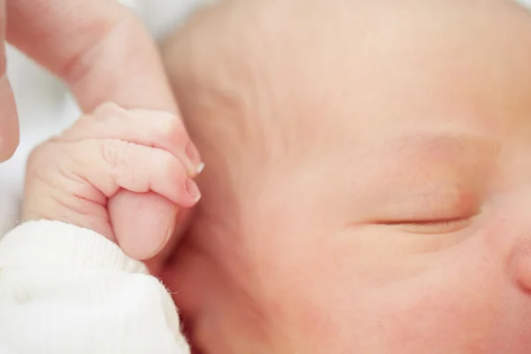 Newborn — Stock Photo, Image