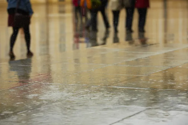 Lluvia — Foto de Stock